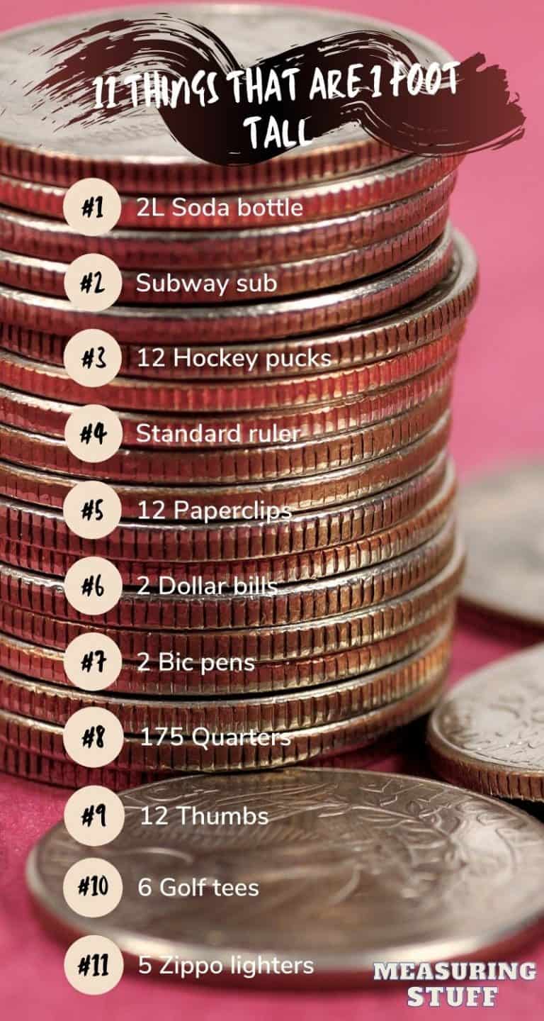 11 Things That Are 1 Foot Tall (#5 Will Surprise You) – Measuring Stuff