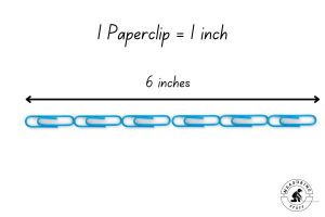 How Long Is 6 Inches Compared To An Object? – Measuring Stuff