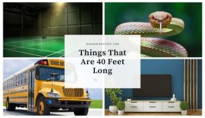 9 Things That Are 40 Feet Long – Measuring Stuff