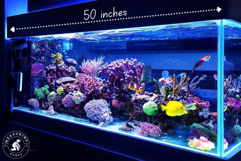 9 Things That Are 50 Inches In Size – Measuring Stuff