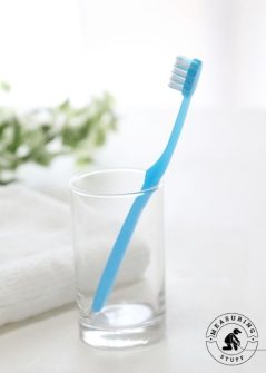 11 Common Items That Are 6 Inches Long – Measuring Stuff
