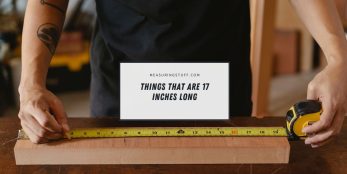 11 Things That Are 17 Inches Long – Measuring Stuff