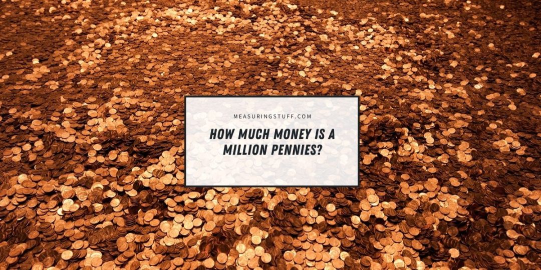 1 Million Pennies Into Dollars 11