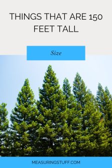 9 Things That Are 150 Feet Tall – Measuring Stuff