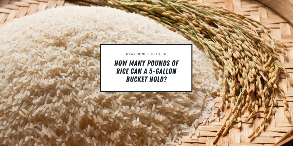 How Many Pounds Of Rice Can A 5-Gallon Bucket Hold? – Measuring Stuff
